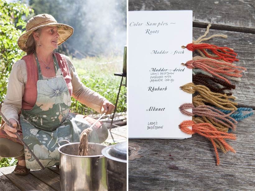 The Colors We Forgot We Had | Natural Wool Dyes from Vermont Gardens, Meadows, &amp; Hedgerows - A Workshop at the Marshfield School of Weaving | Caroline Goddard Photography | Hope State Style